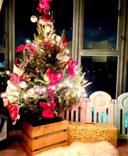 Load image into Gallery viewer, Real Christmas Tree (Small 0.8-0.9 metres)