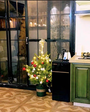 Load image into Gallery viewer, Real Christmas Tree (Small 0.8-0.9 metres)