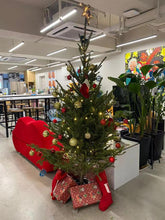 Load image into Gallery viewer, Real Christmas Tree (Large 2.1-2.2 metres)
