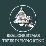 Real Christmas Trees in Hong Kong