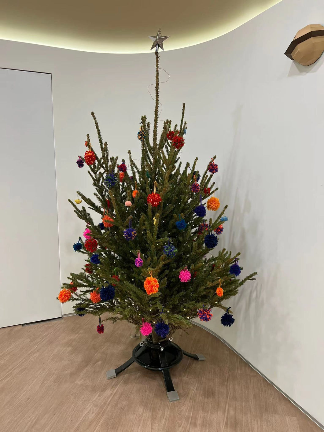 Real Christmas Tree (Medium 1.5-1.6 metres)