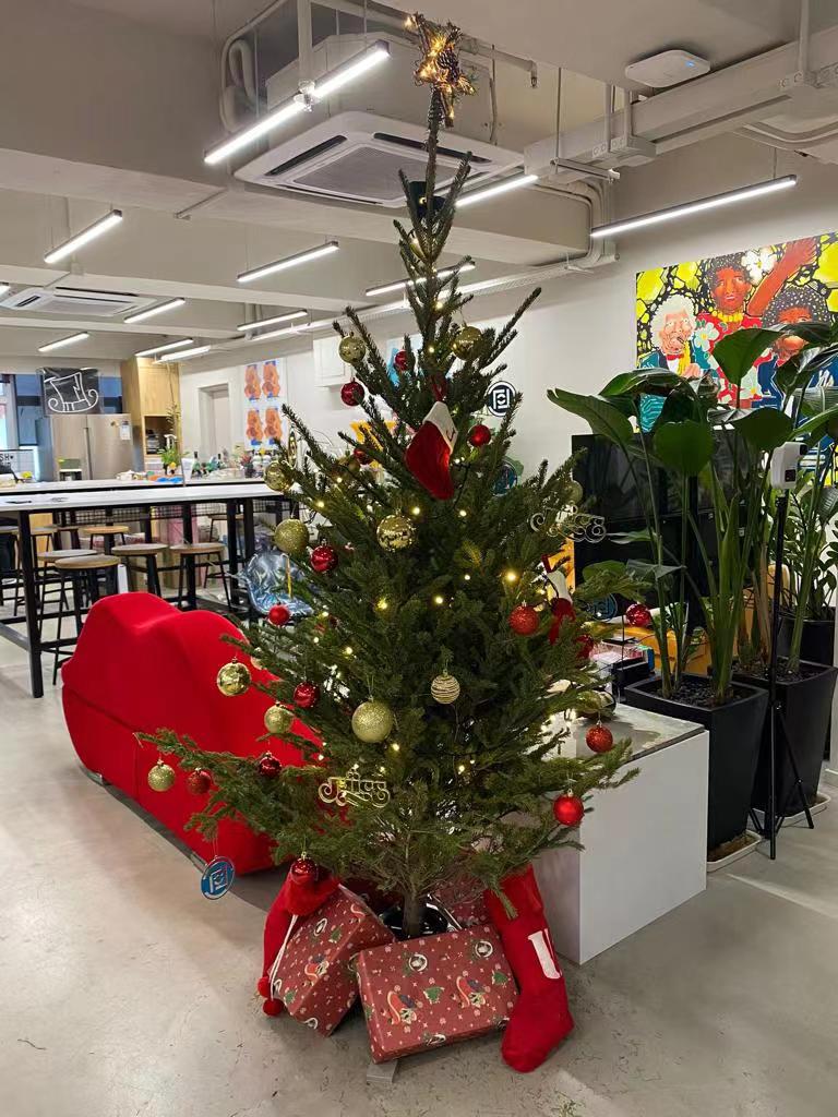 Real Christmas Tree (Large 2.1-2.2 metres)